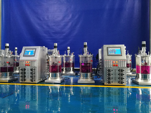 1507093791377388.jpg 20L2聯40L2聯玻璃生物反應器局部.jpg